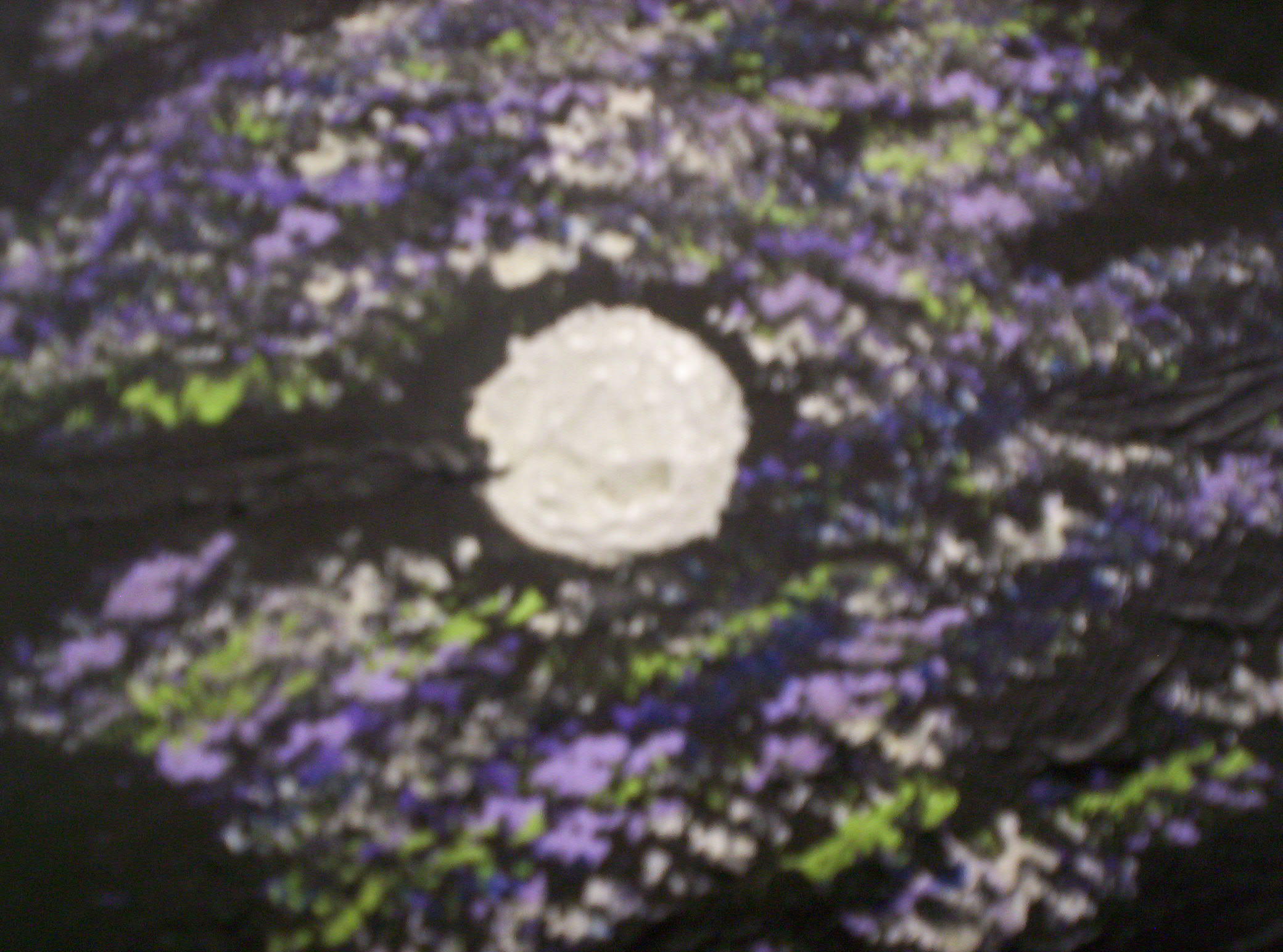 More events 2011 - - Pungenna - Aboriginal Art Tasmania More events 2011 - - Pungenna - Aboriginal Art Tasmania