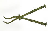 Bone Forceps Bone Forceps