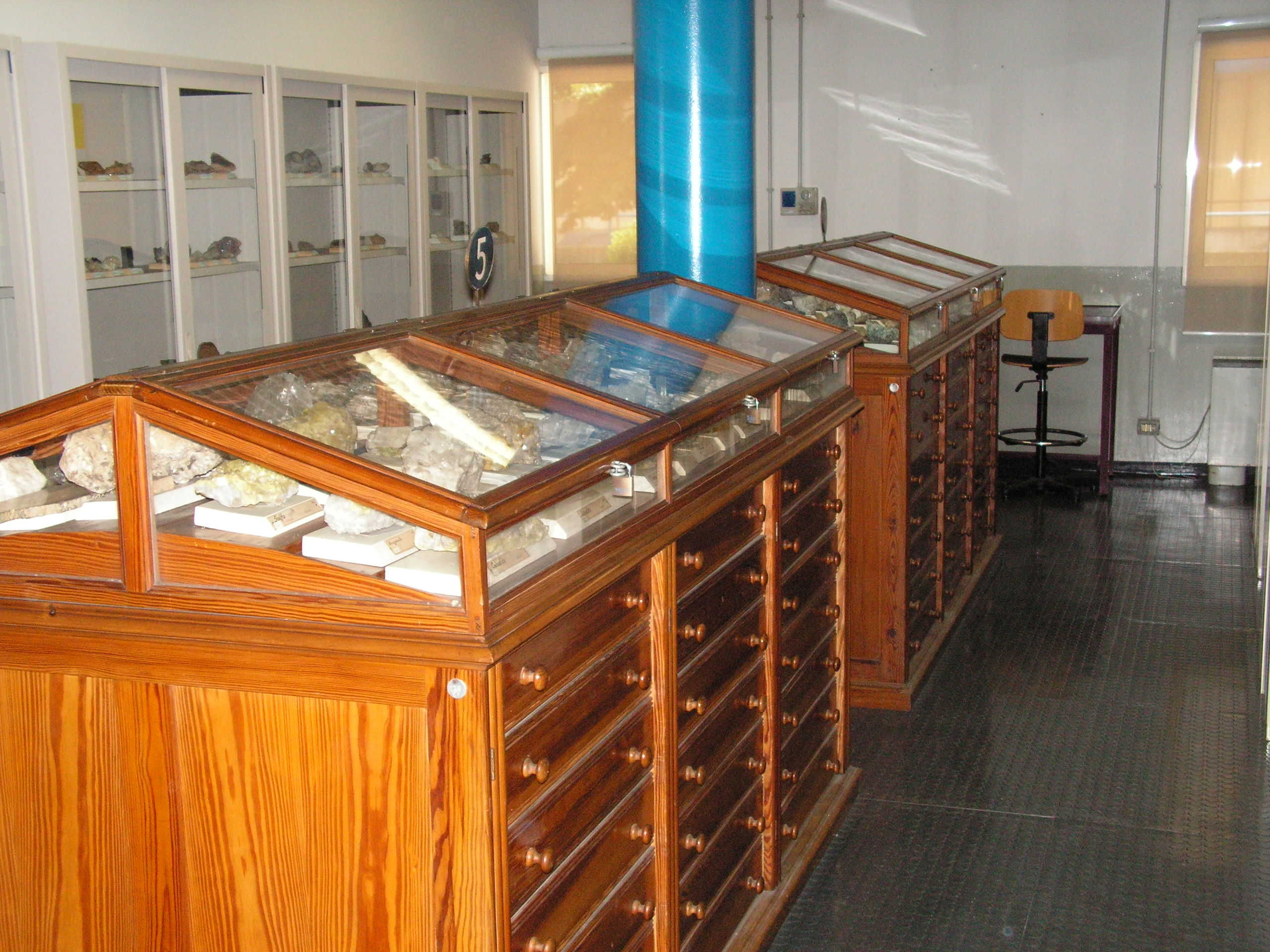 Museo Spallanzani Museo Spallanzani