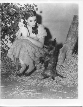 Dorothy and Toto Dorothy and Toto