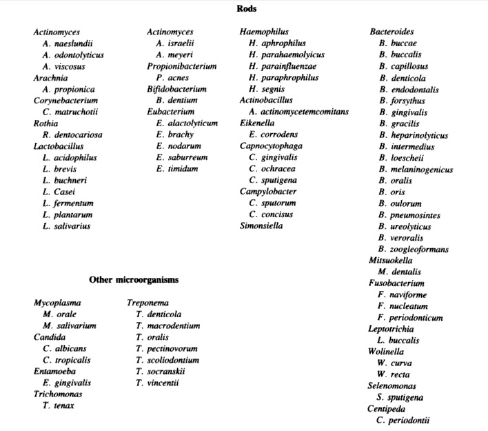 Oral Microflora - Cariology Oral Microflora - Cariology
