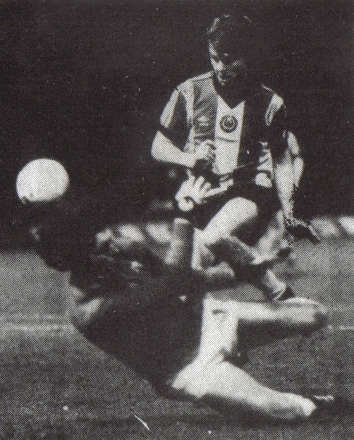 Clark scores for Thistle 1981