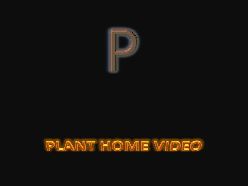 Plant Home Video (1994) Plant Home Video (1994)