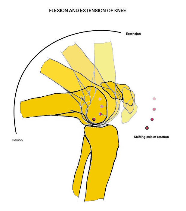 Types of knee braces - White-Smoke Types of knee braces - White-Smoke