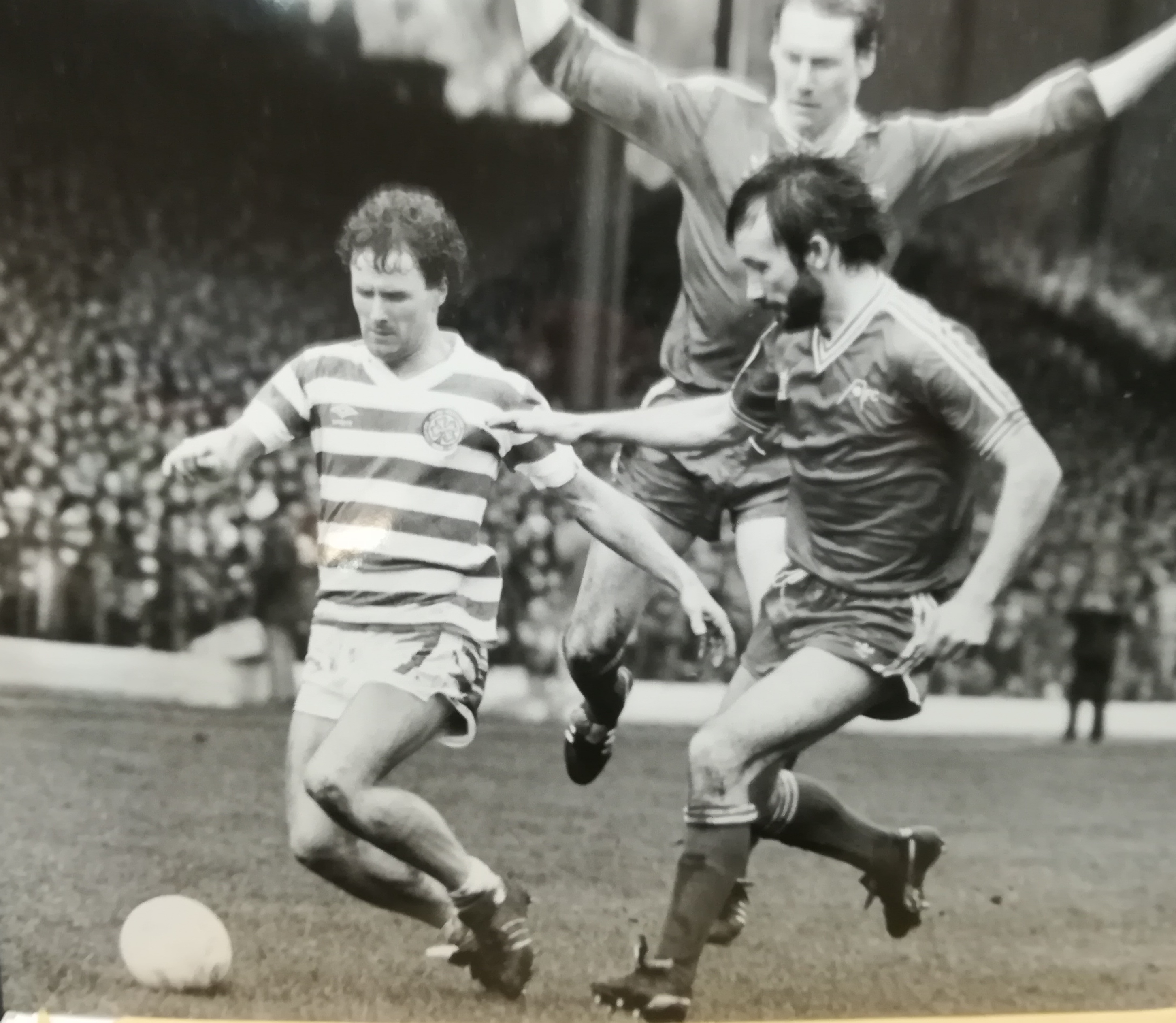 Provan takes on Scanlon 1981