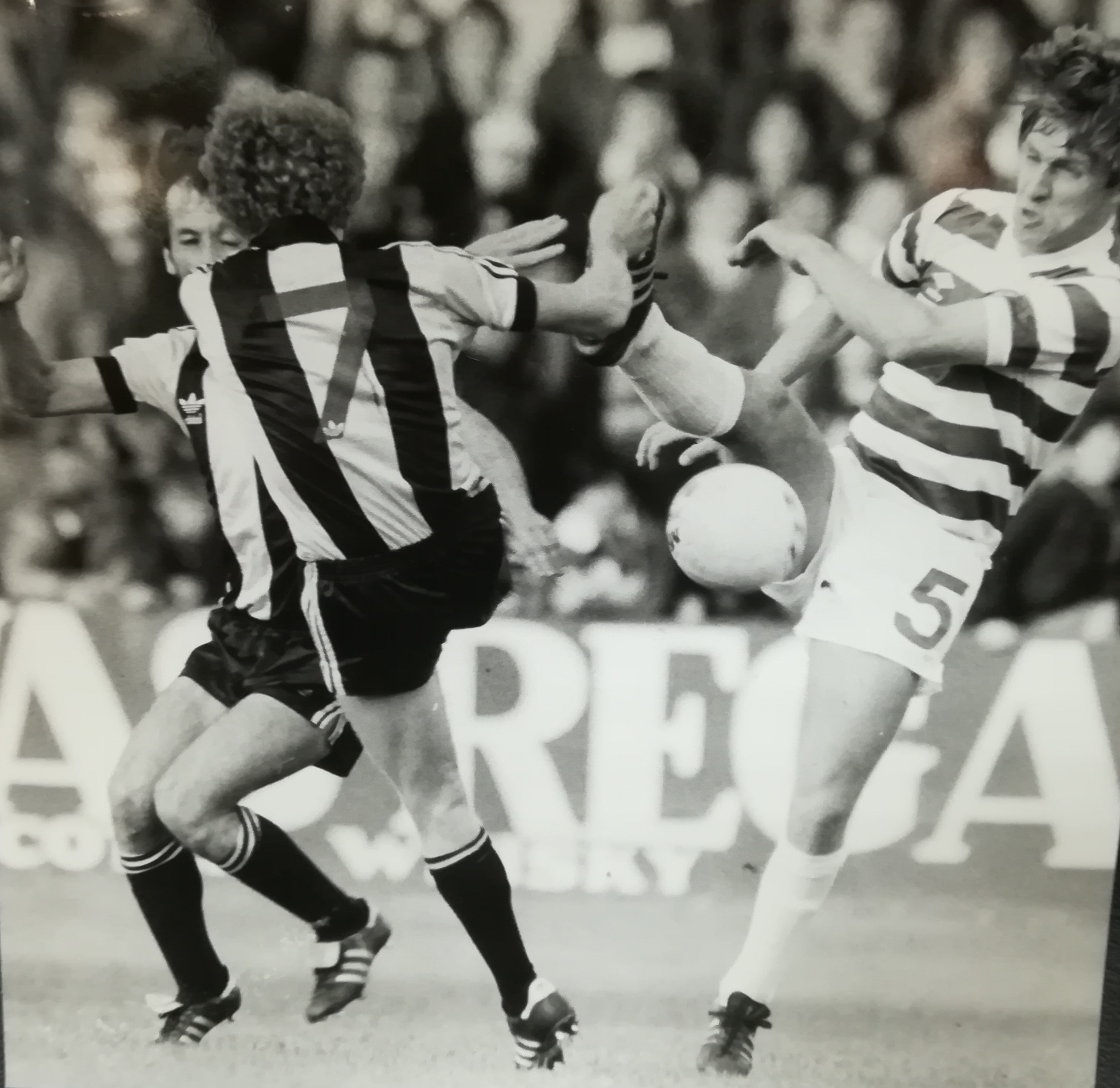 McAdam clears at Love Street 1981