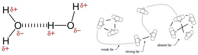 Strong tie and weak tie (Granovetter, 1969) Strong tie and weak tie (Granovetter, 1969)