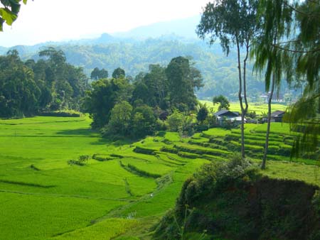 Tana Toraja 2 Tana Toraja : Land of Heavenly Kings Tana Toraja 2 Tana Toraja : Land of Heavenly Kings