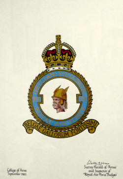 350 Fighter Squadron Badge 350 Fighter Squadron Badge