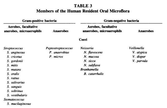 Oral Microflora - Cariology Oral Microflora - Cariology