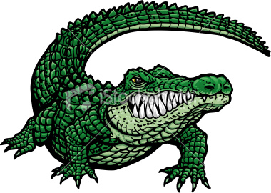 G-2 Gators - West Point Men's Team Handball G-2 Gators - West Point Men's Team Handball