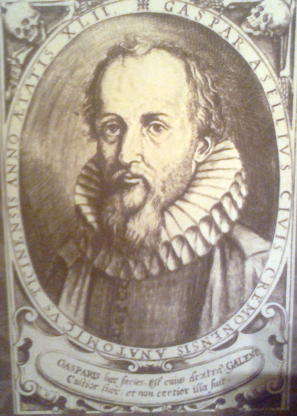 Ritratto di Gaspare Aselli Ritratto di Gaspare Aselli