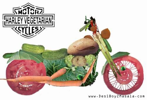 Vegetarian zone! - CSI Vegetarian zone! - CSI