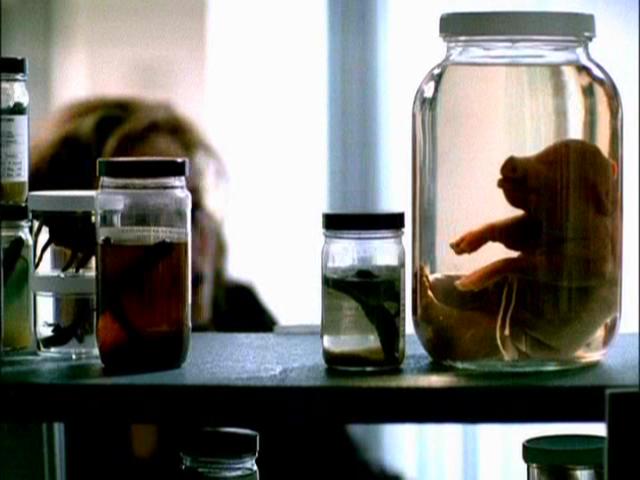 Season 1 - CSI Season 1 - CSI