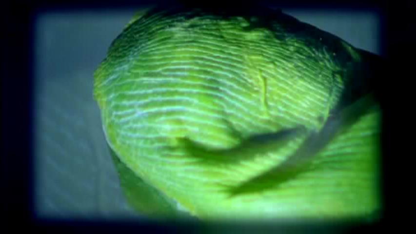 Season 2 - CSI Season 2 - CSI