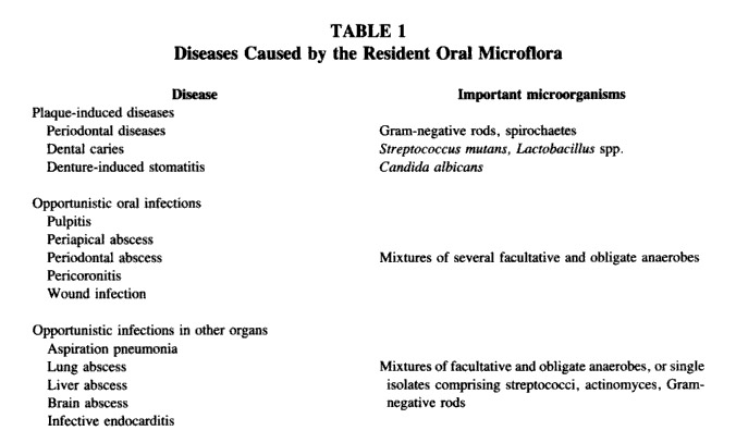 Oral Microflora - Cariology Oral Microflora - Cariology