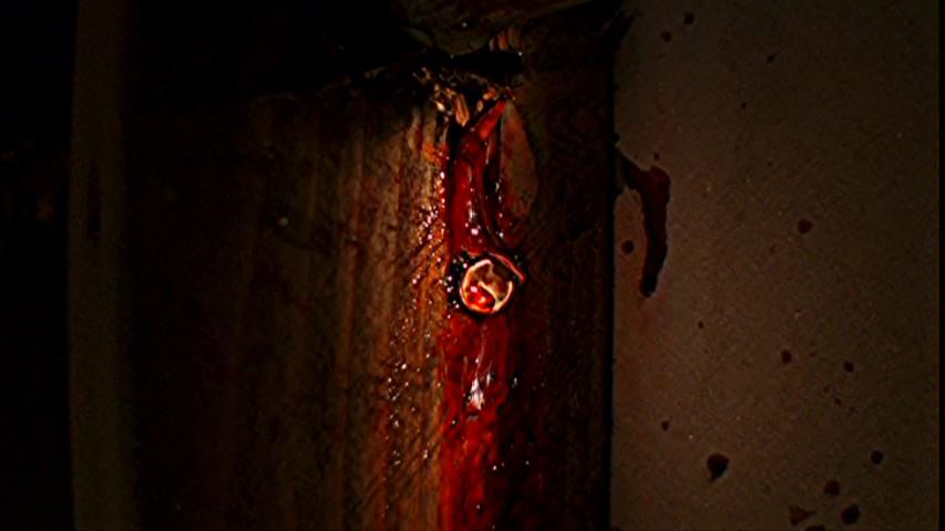 Season 5 - CSI Season 5 - CSI