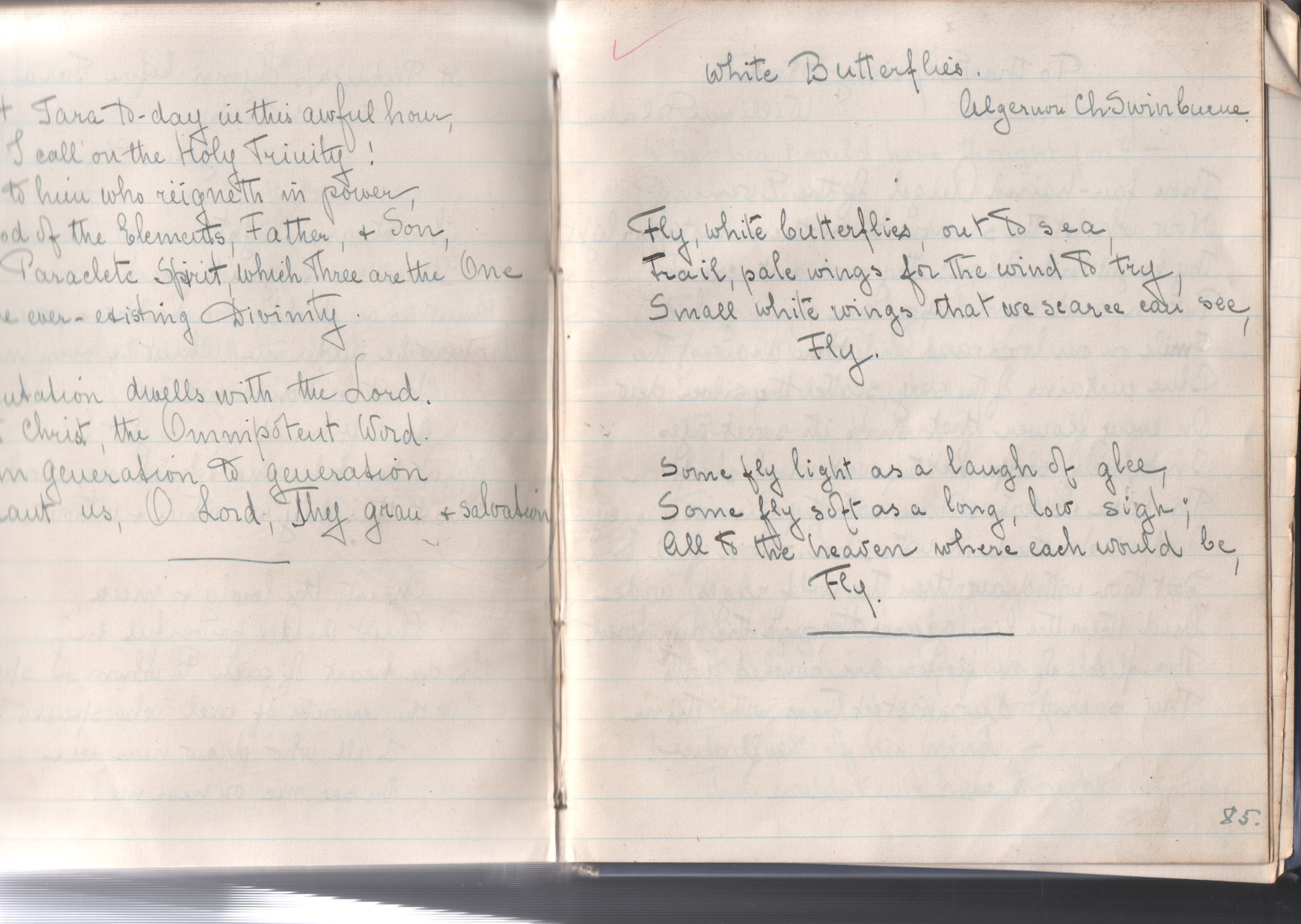 Lucy Neuscheller - notebook page Lucy Neuscheller - notebook page