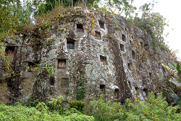 The Toraja - Anthropology & the Human Condition The Toraja - Anthropology & the Human Condition