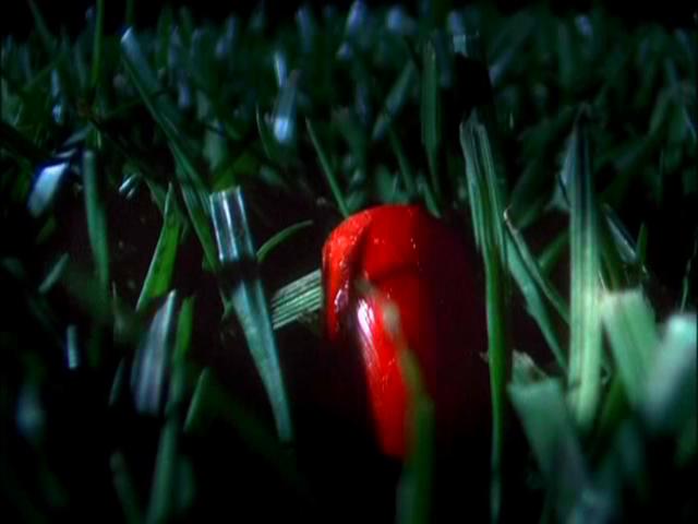 Season 1 - CSI Season 1 - CSI