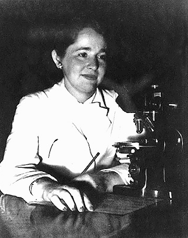 Gertrude Belle Elion - atlaswiki Gertrude Belle Elion - atlaswiki