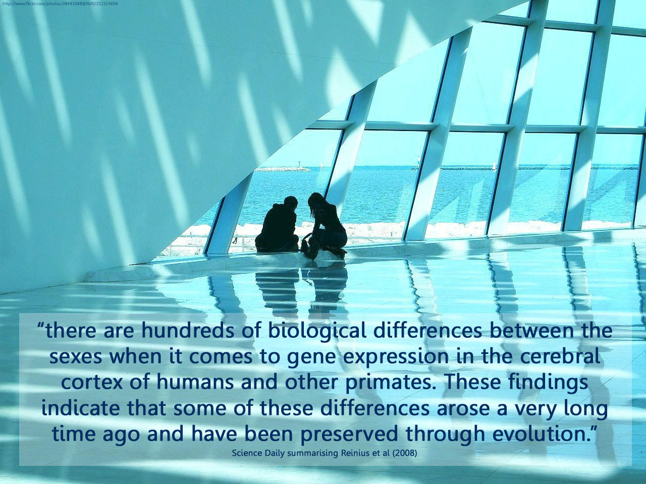 Sexuality (G) - The Neuron Sexuality (G) - The Neuron