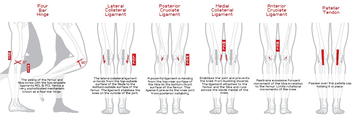 Analysis of knee biomechanics, geometry and kinematics - White-Smoke Analysis of knee biomechanics, geometry and kinematics - White-Smoke
