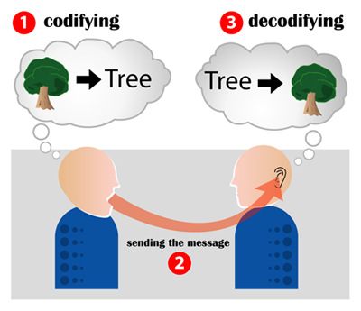 What We Encode 1 - The Neuron What We Encode 1 - The Neuron