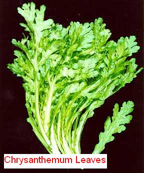 Chrysanthemum Leaves Chrysanthemum Leaves