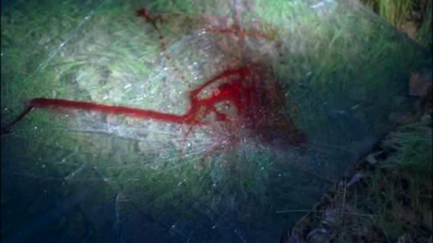 Season 2 - CSI Season 2 - CSI