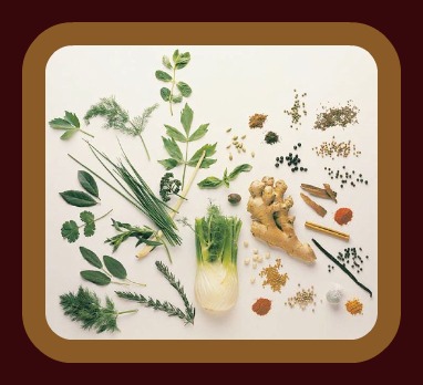 Medicinal Plants of the Renaissance - THE BORGIAS wiki Medicinal Plants of the Renaissance - THE BORGIAS wiki