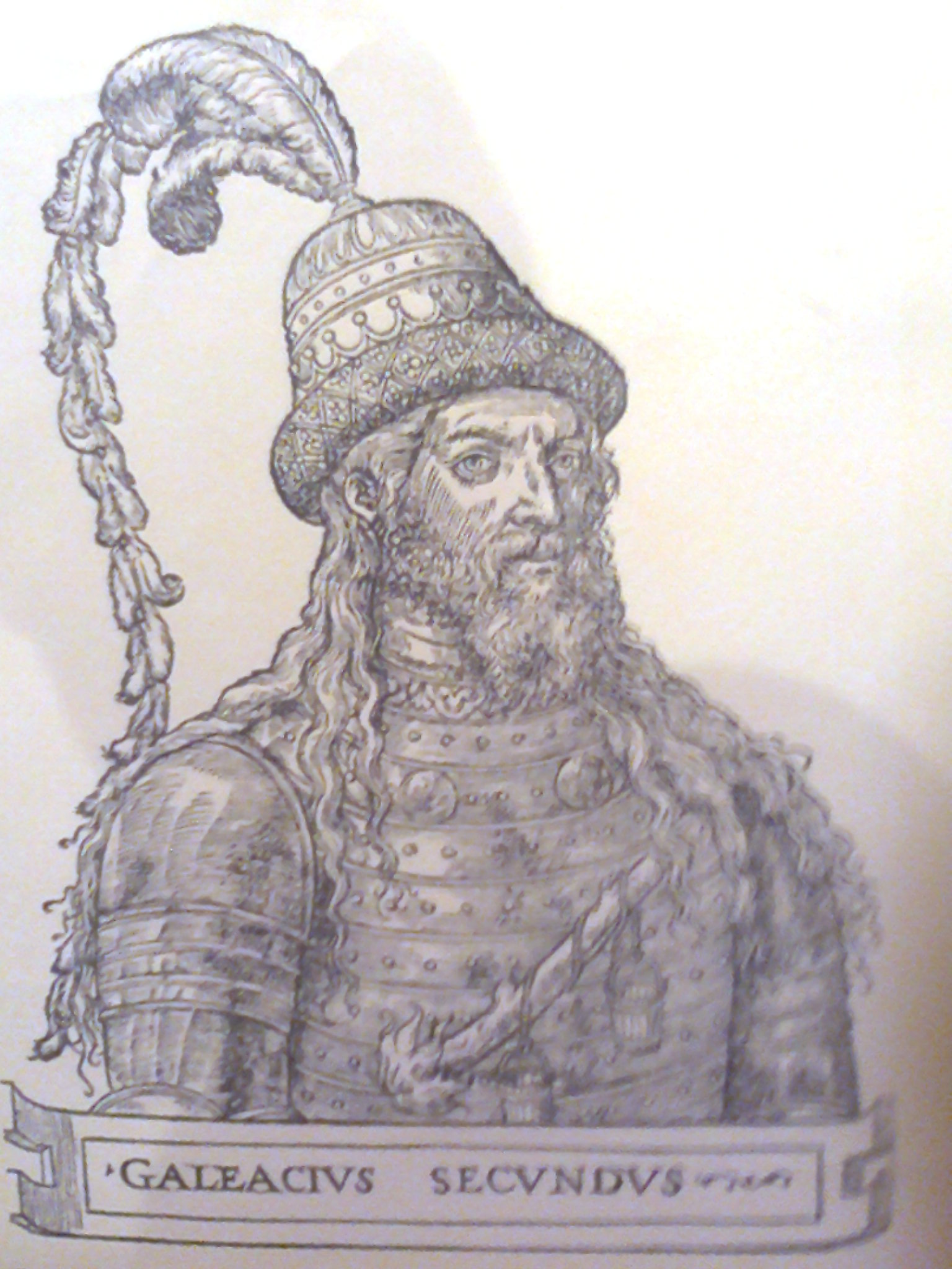 Ritratto di Galezzo II Visconti Ritratto di Galezzo II Visconti