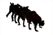 caterpillar.JPG caterpillar.JPG