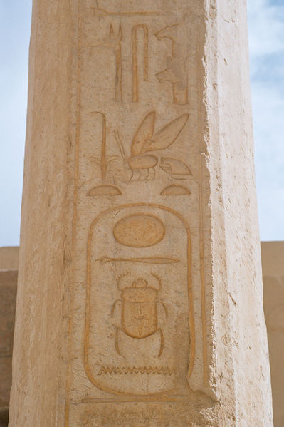 Thutmose II - cartouche of praenomen Thutmose II - cartouche of praenomen