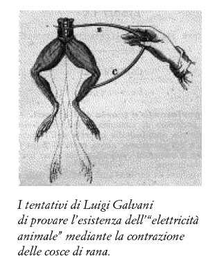 La pila di Volta in L’evoluzione della fisica di Einstein e Infeld - Storia della Scienza La pila di Volta in L’evoluzione della fisica di Einstein e Infeld - Storia della Scienza