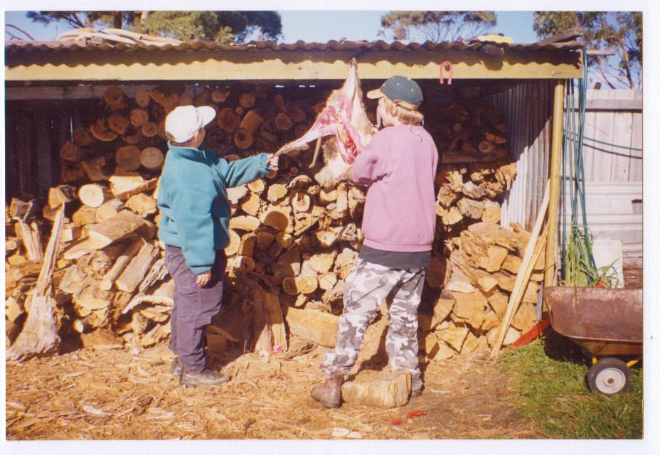 bush tucker - pungenna art. aboriginal artists bush tucker - pungenna art. aboriginal artists