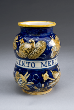 Medicinal Plants of the Renaissance - THE BORGIAS wiki Medicinal Plants of the Renaissance - THE BORGIAS wiki